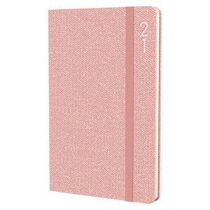 DEBDEN Designer A5 Day to Page Diary D18 Peach